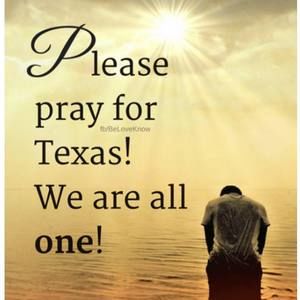 Meet your Posher, Steve